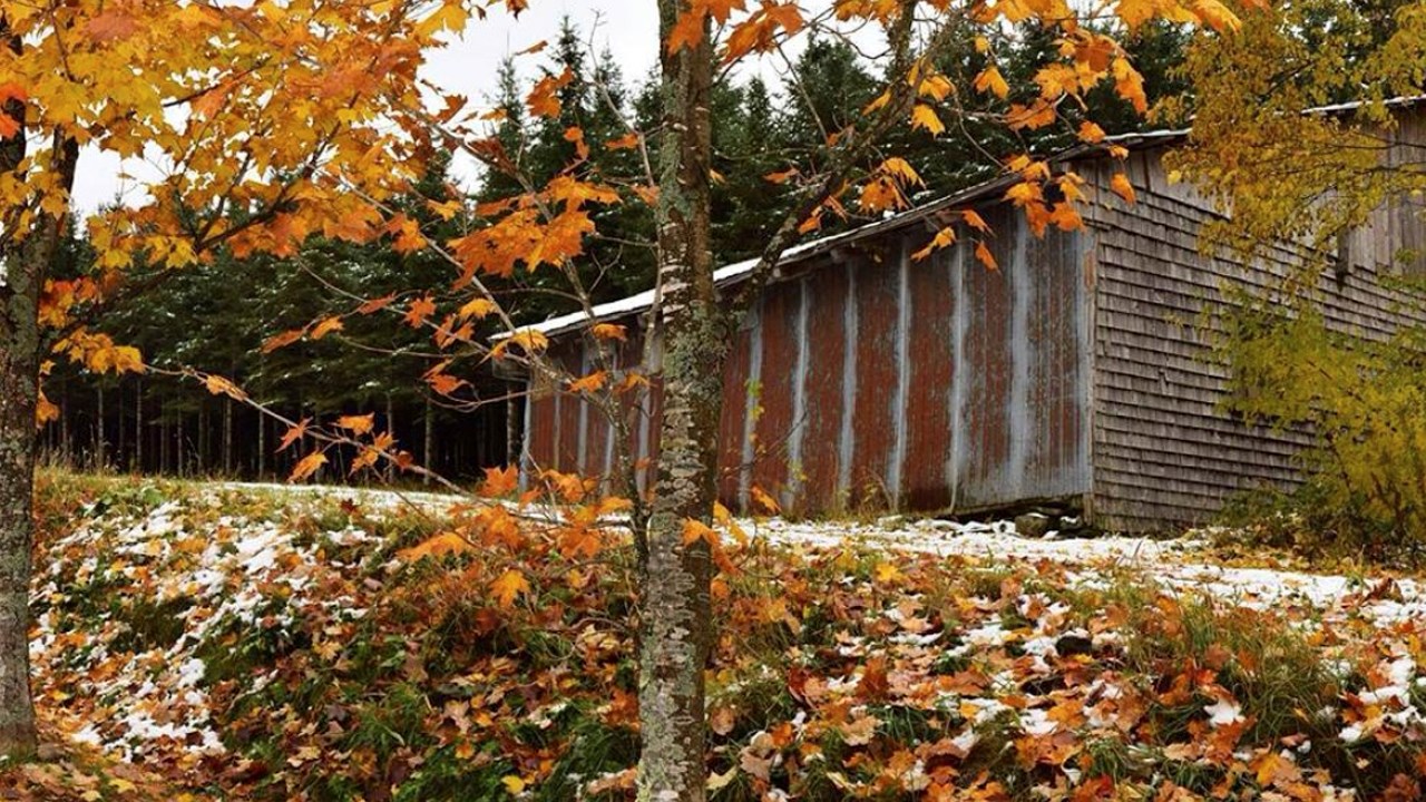 Replongez-vous dans les couleurs de l'automne grâce aux images de nos lecteurs