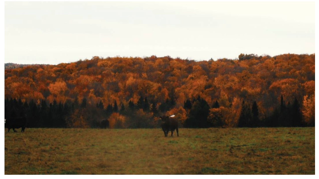Replongez-vous dans les couleurs de l'automne grâce aux images de nos lecteurs