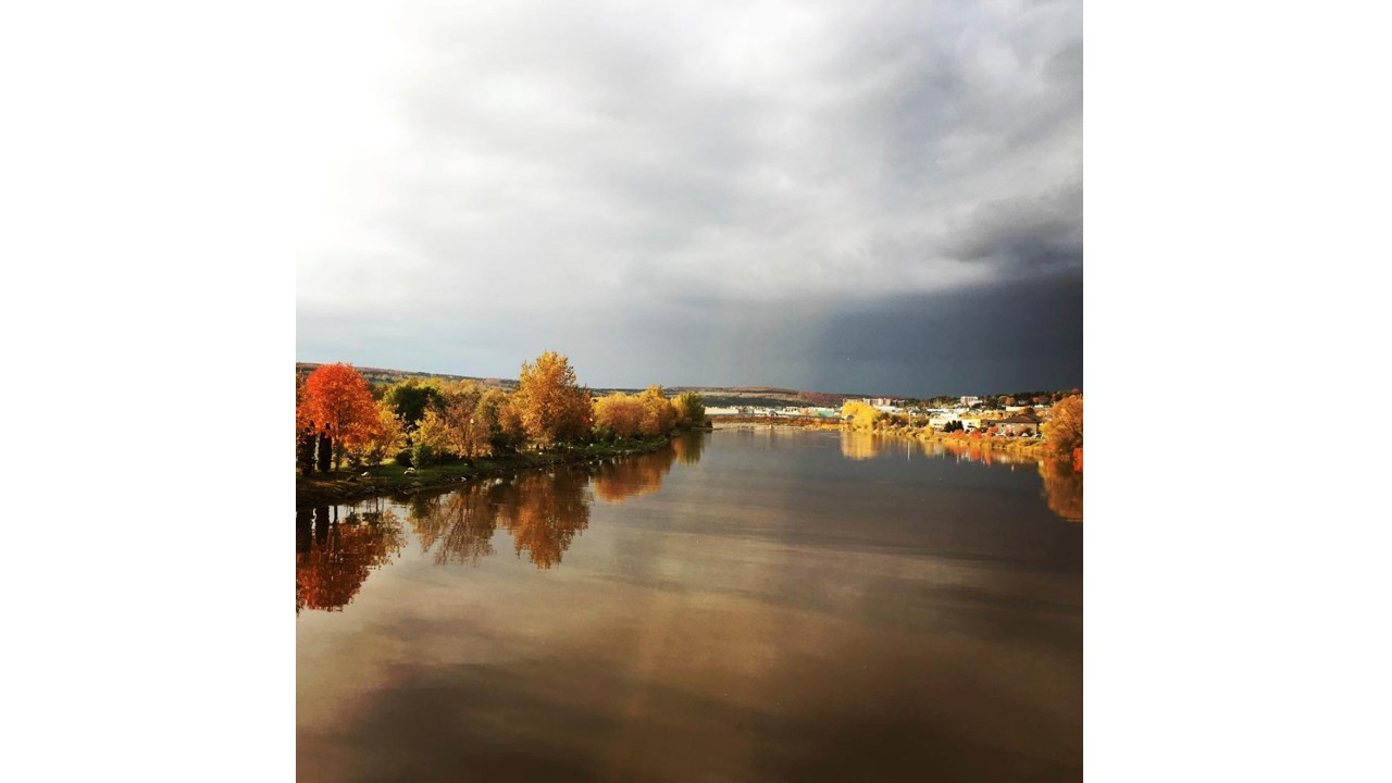 Replongez-vous dans les couleurs de l'automne grâce aux images de nos lecteurs