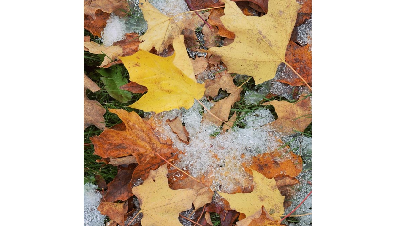 Replongez-vous dans les couleurs de l'automne grâce aux images de nos lecteurs