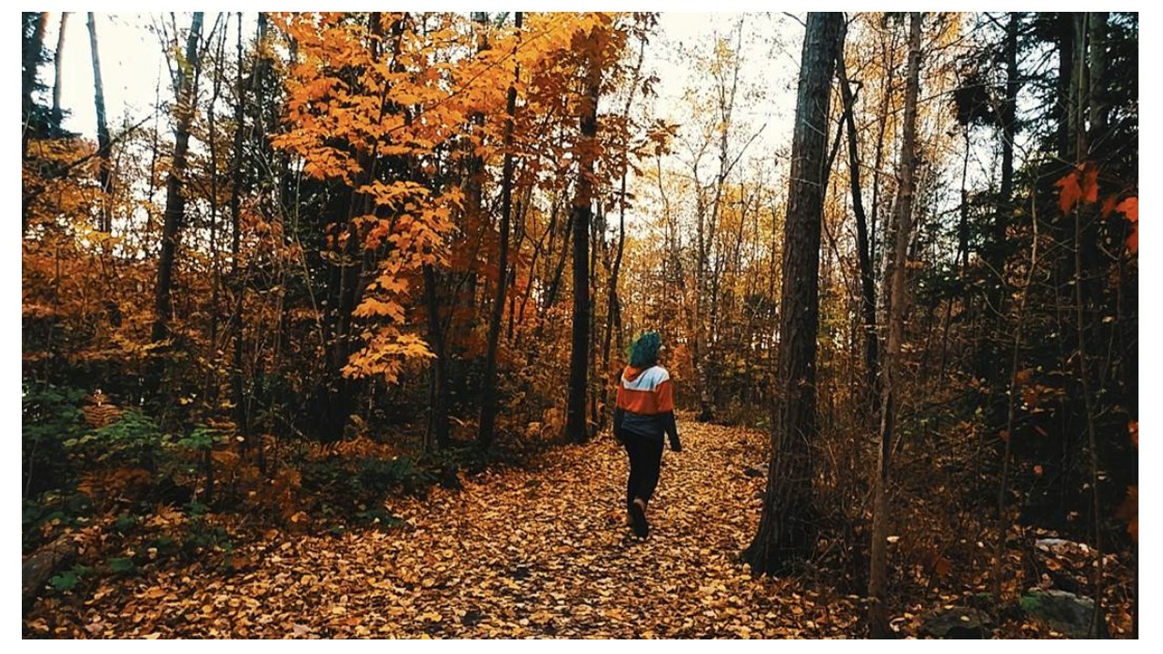Replongez-vous dans les couleurs de l'automne grâce aux images de nos lecteurs