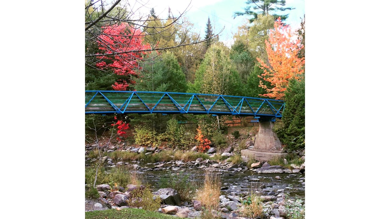 Replongez-vous dans les couleurs de l'automne grâce aux images de nos lecteurs