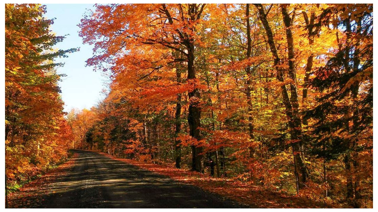Replongez-vous dans les couleurs de l'automne grâce aux images de nos lecteurs