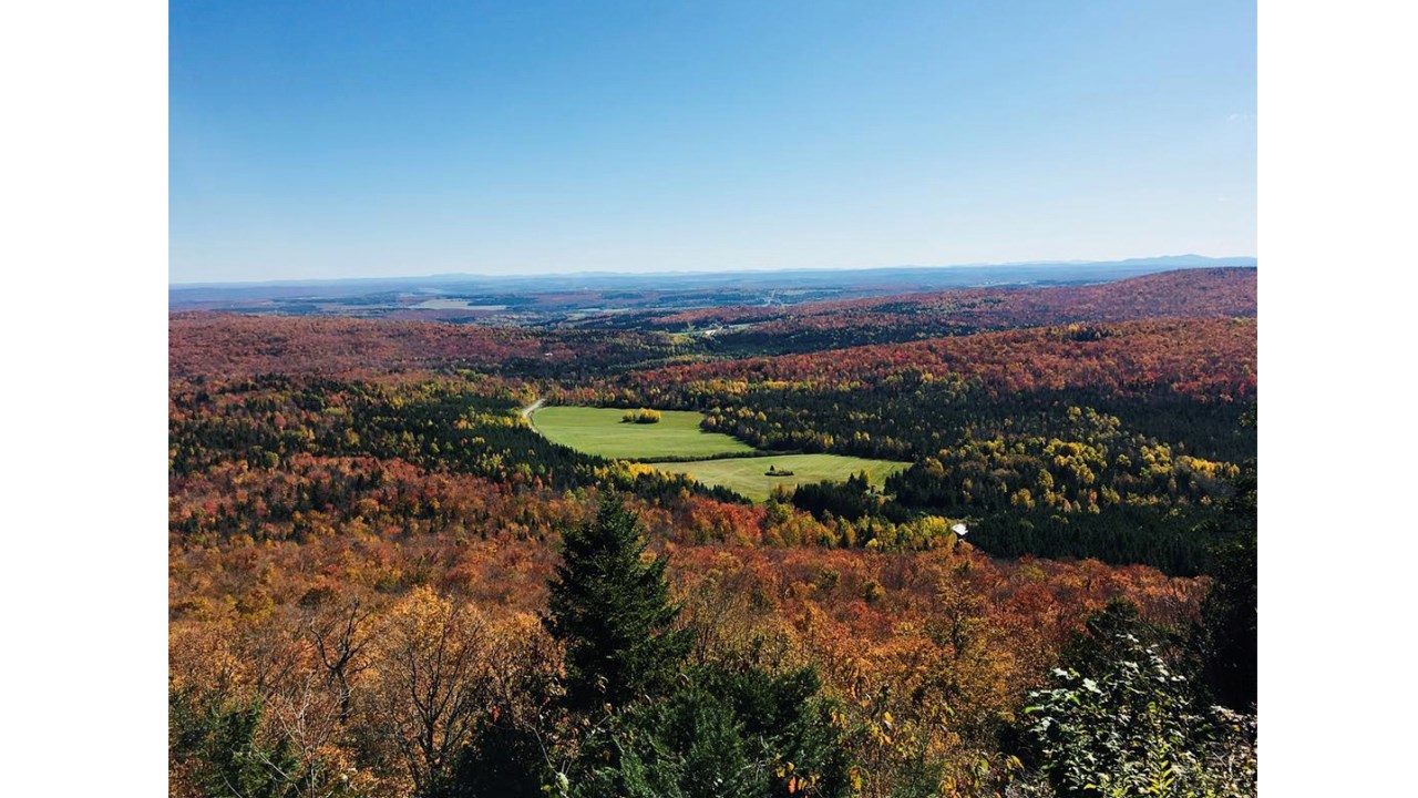 Replongez-vous dans les couleurs de l'automne grâce aux images de nos lecteurs