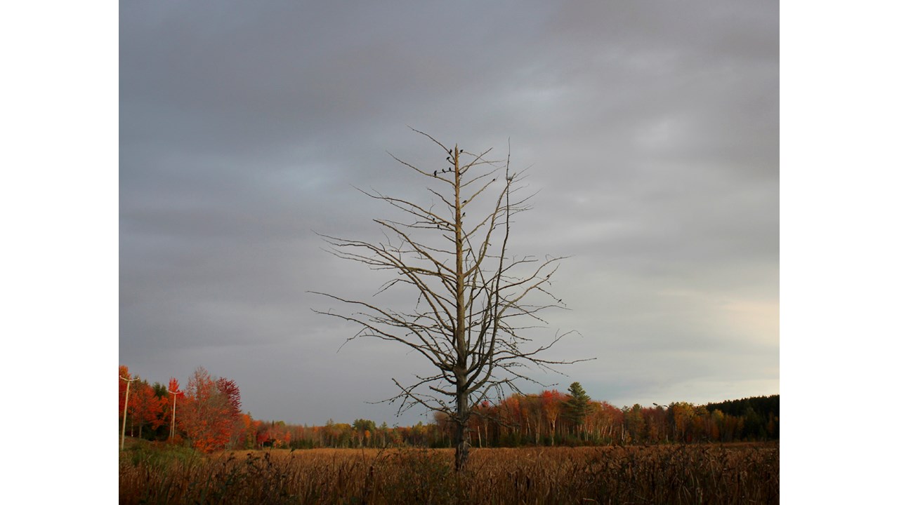 Au lac Castor, à Saint-Victor.