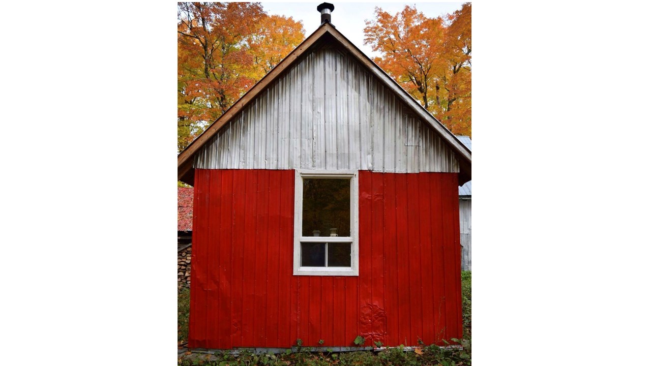 Replongez-vous dans les couleurs de l'automne grâce aux images de nos lecteurs