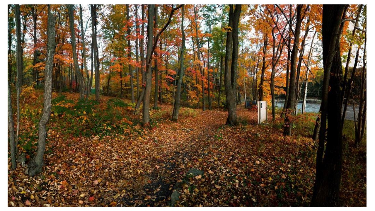 Replongez-vous dans les couleurs de l'automne grâce aux images de nos lecteurs