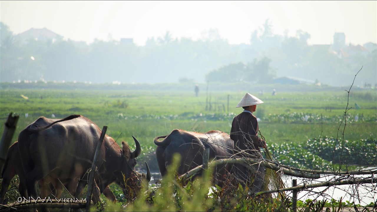 Les Aventuriers voyageurs présentent le Vietnam à Saint-Georges