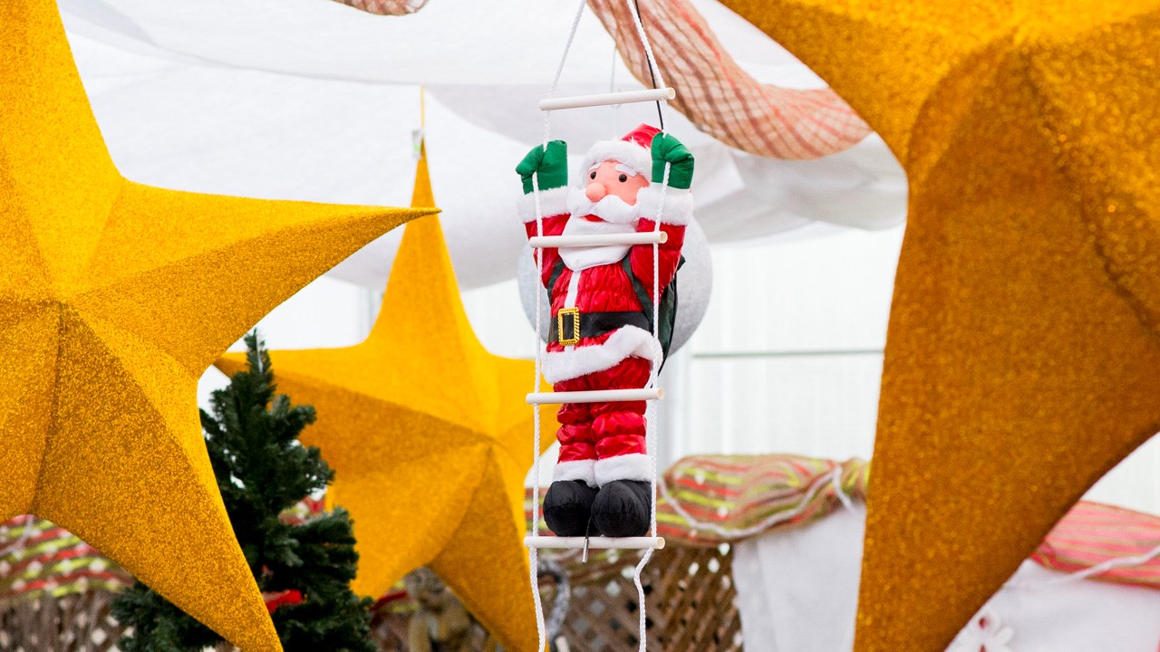 Portes ouvertes aux Serres Saint-Georges sur le thème de Noël