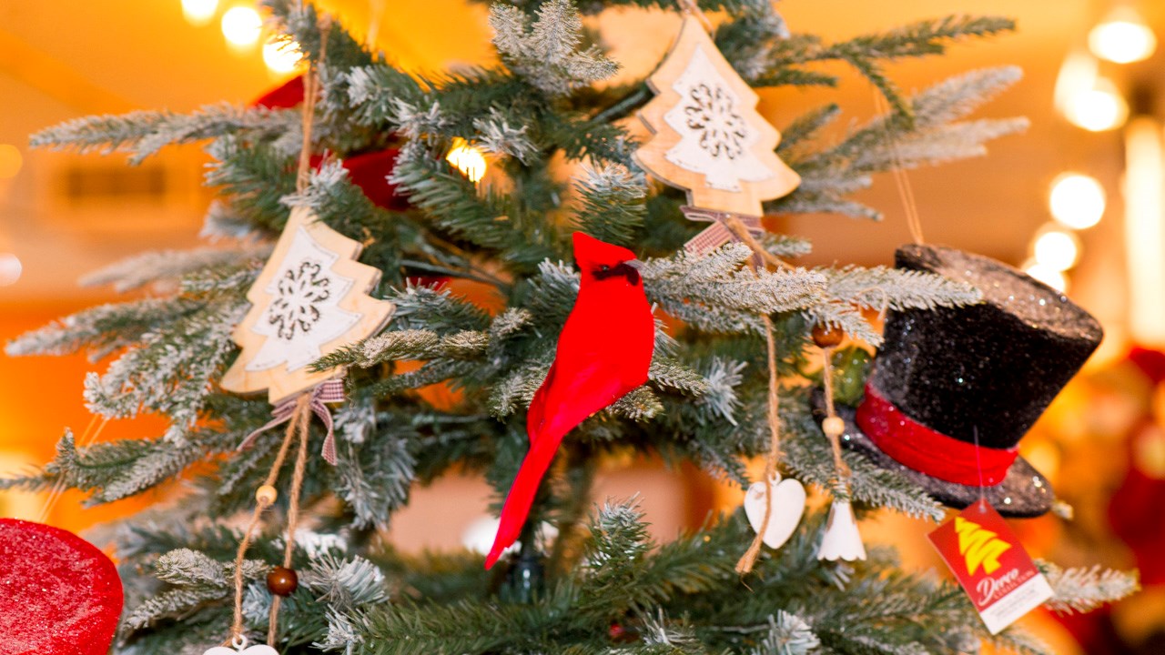 Portes ouvertes aux Serres Saint-Georges sur le thème de Noël
