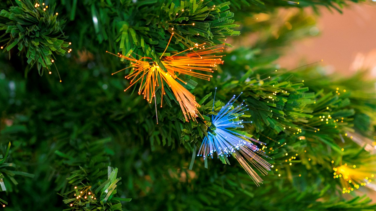 Portes ouvertes aux Serres Saint-Georges sur le thème de Noël