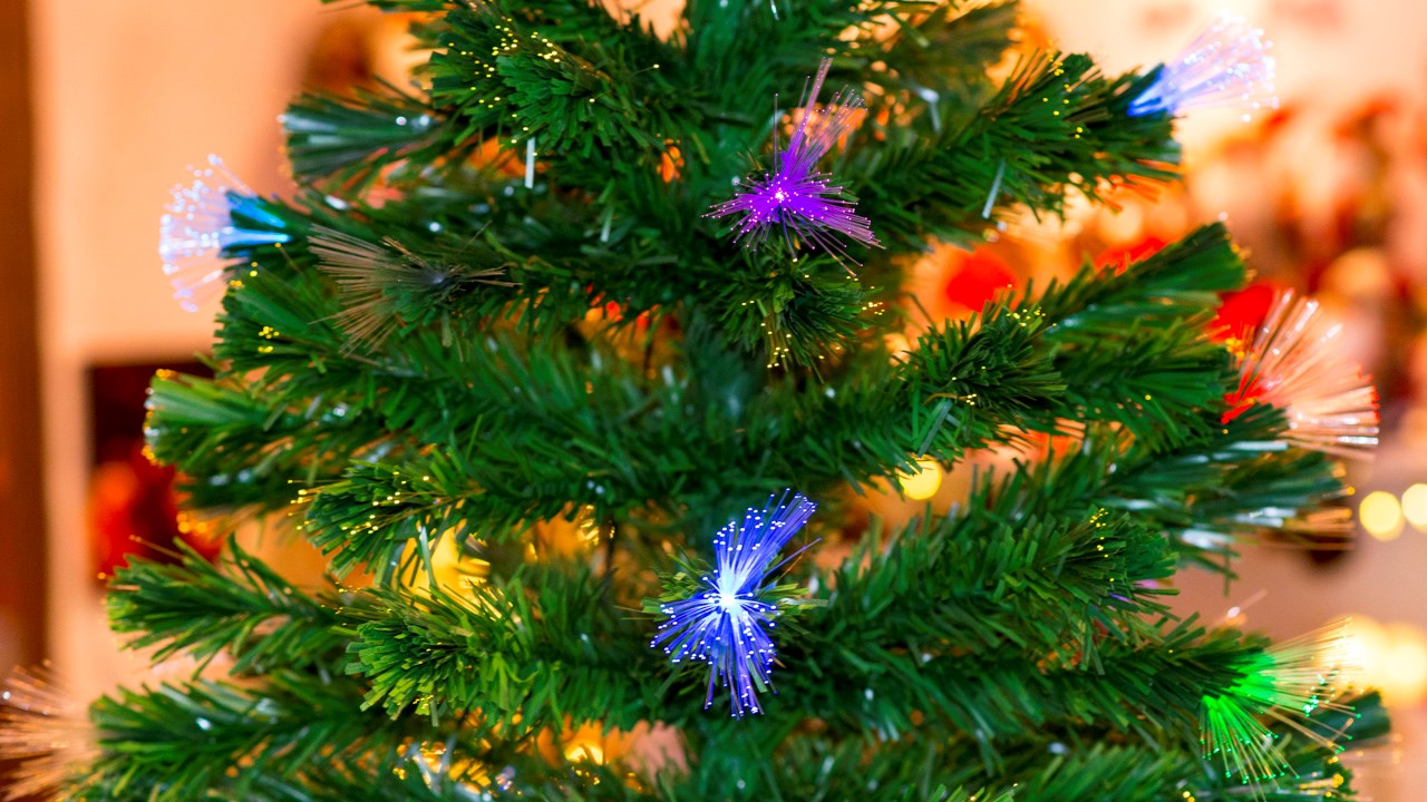 Portes ouvertes aux Serres Saint-Georges sur le thème de Noël