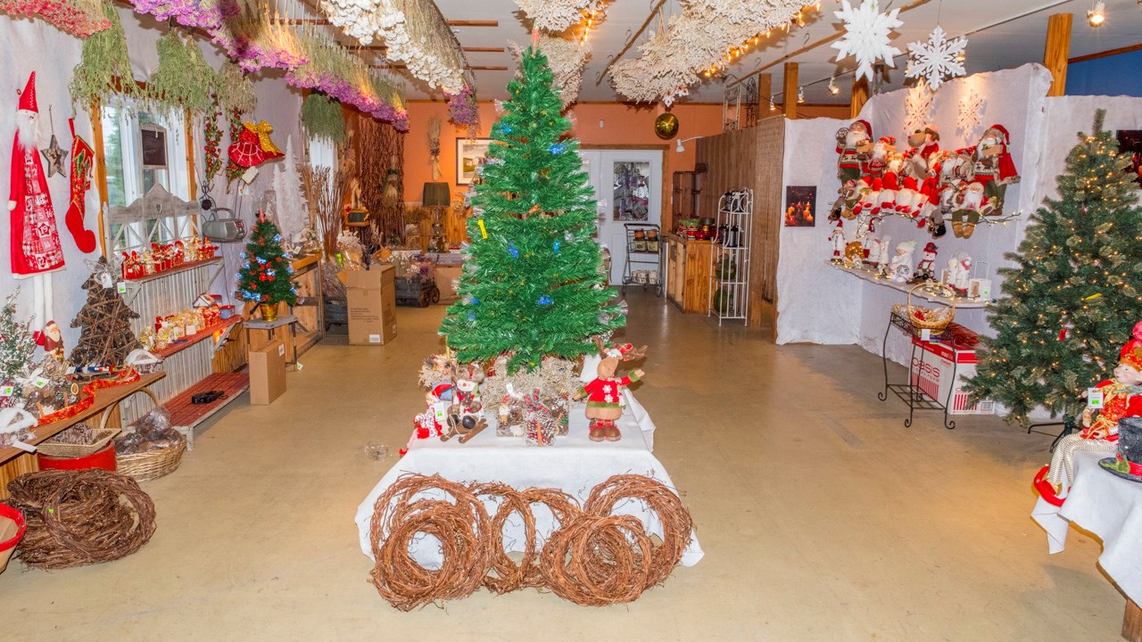 Portes ouvertes aux Serres Saint-Georges sur le thème de Noël