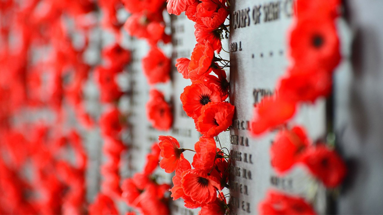 LE SAVIEZ-VOUS ? Saviez-vous pourquoi le coquelicot symbolise le Jour du Souvenir ? 