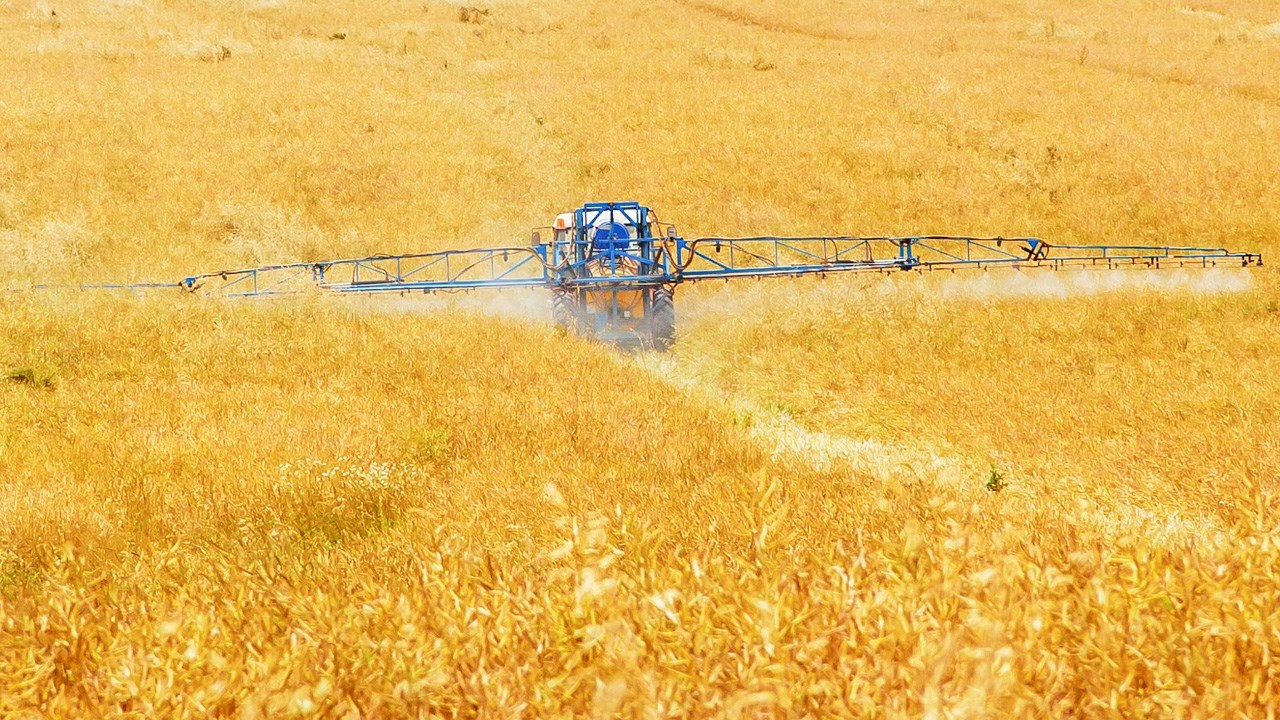 Un apiculteur beauceron répond aux producteurs de grains sur les pesticides