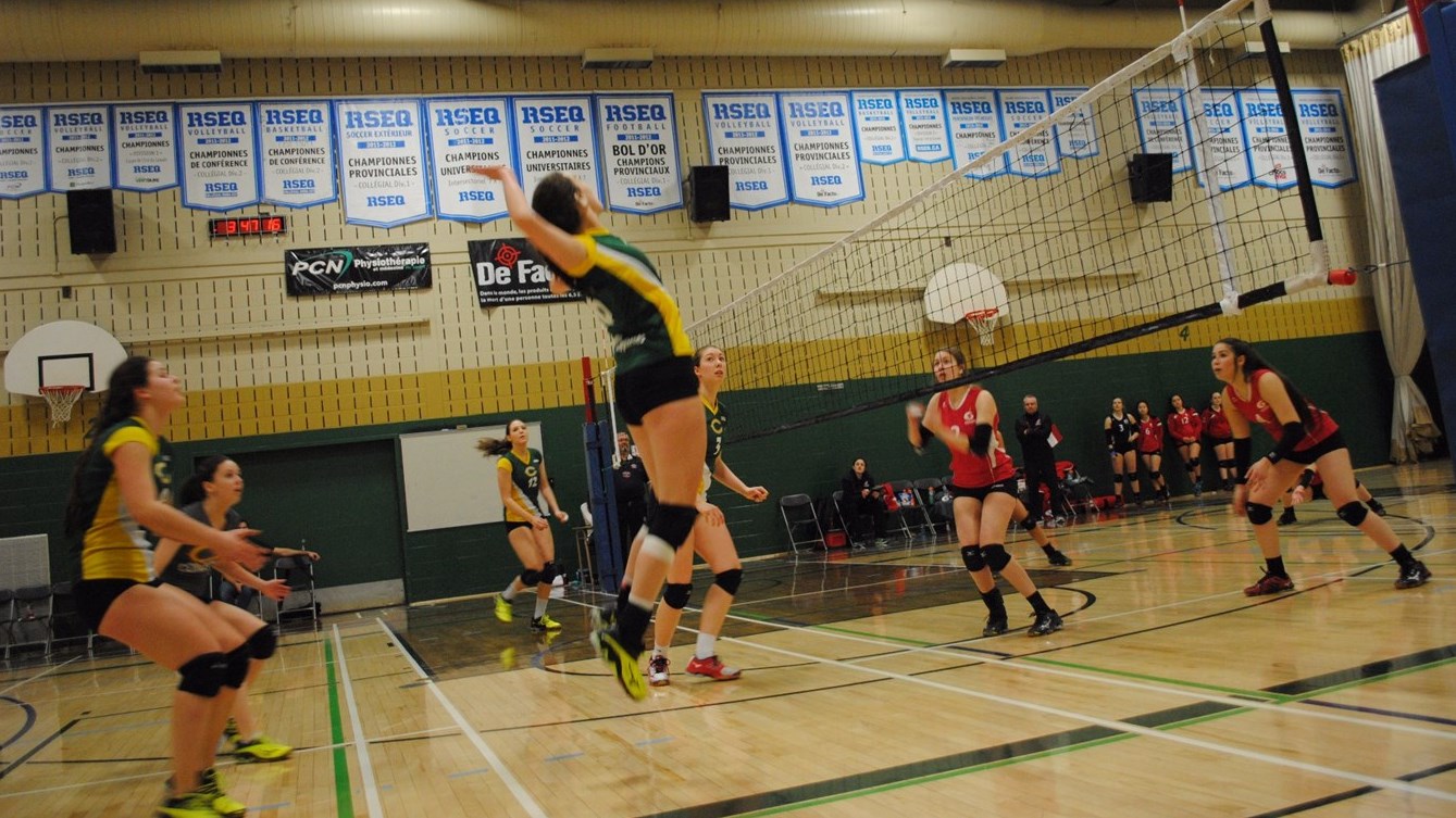 L'équipe féminine de volleyball de Division 2 des Condors.