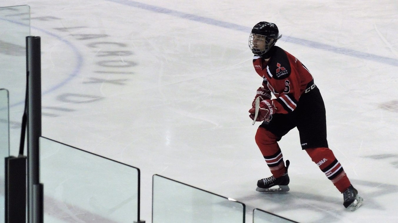 Le Beauce Mitsubishi Junior A de Beauce-Sud a perdu la finale de la LHJABF en quatre rencontres face au Turmel de Lac-Mégantic.