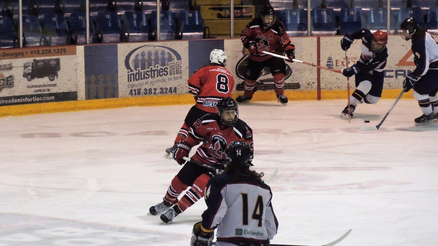 Le Beauce Mitsubishi Junior A de Beauce-Sud a perdu la finale de la LHJABF en quatre rencontres face au Turmel de Lac-Mégantic.