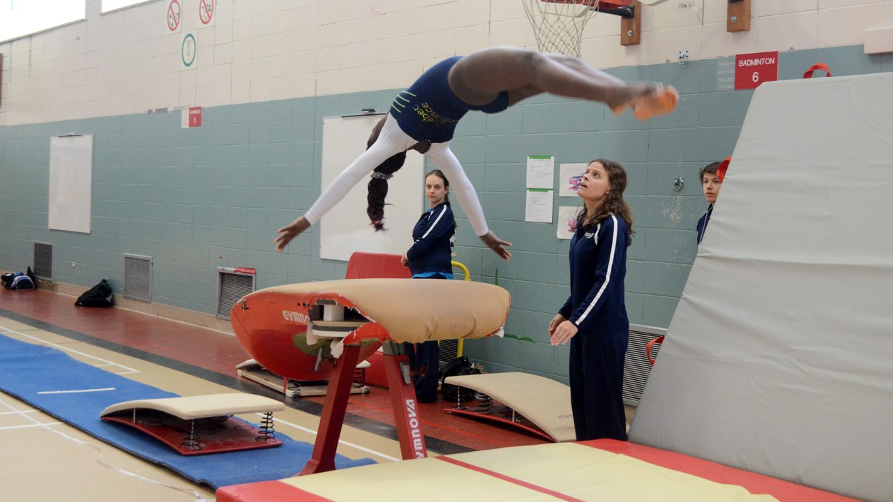 Environ 350 gymnastes à la compétition régionale du club Voltige