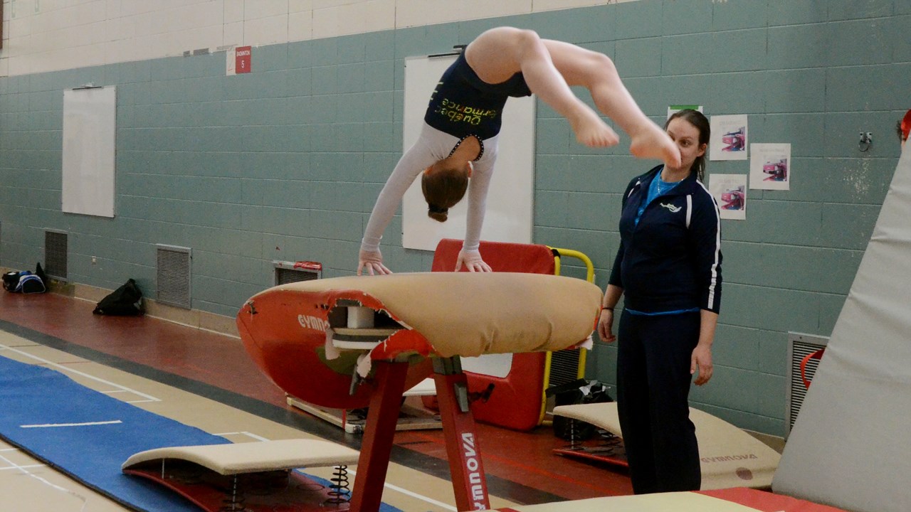 Environ 350 gymnastes à la compétition régionale du club Voltige