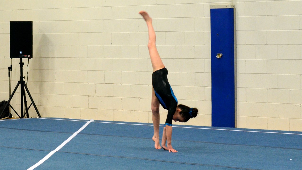 Environ 350 gymnastes à la compétition régionale du club Voltige