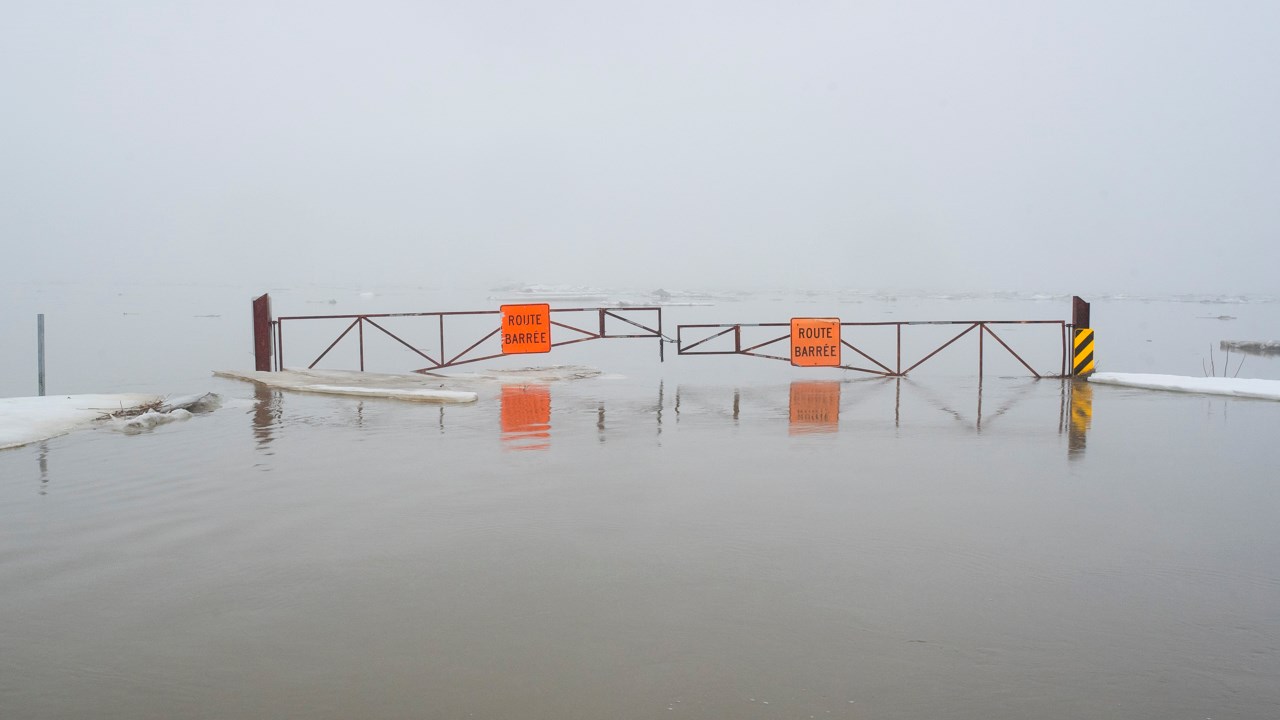 Cette photo a été prise près de l'intersection du rang des Érables et de la route 276 à Saint-Joseph-des-Érables.
