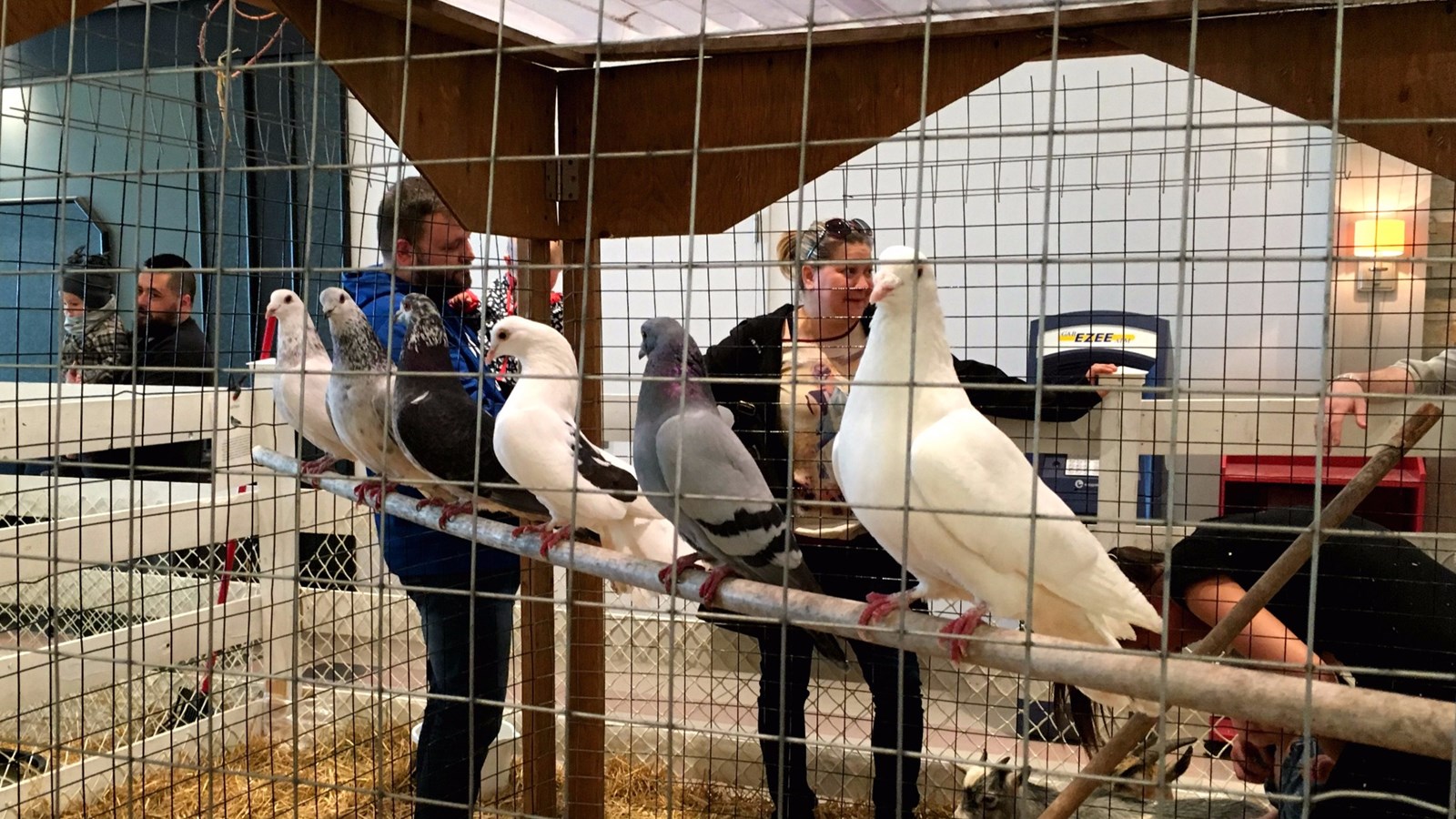 Succès pour la fermette de Pâques du Carrefour Saint-Georges
