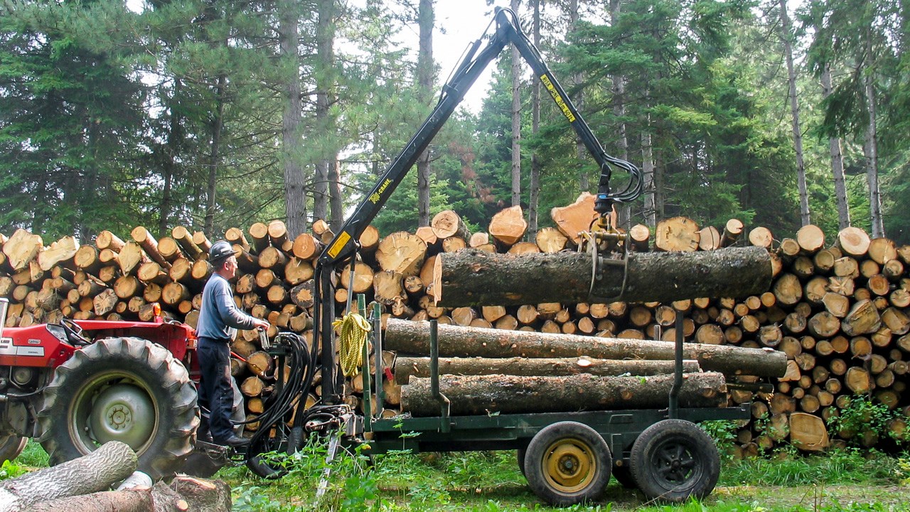 L'Association des propriétaires de boisés de la Beauce représente 11 000 propriétaires forestiers dans la région. 