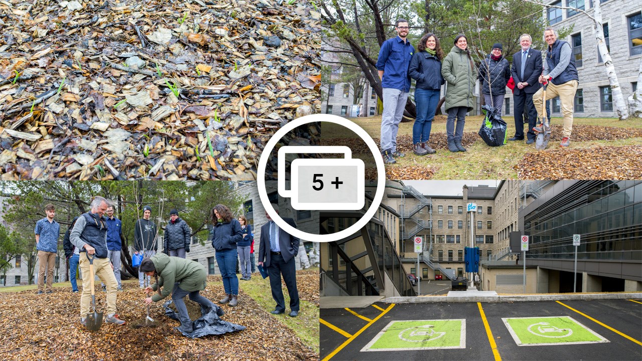 Le Cégep Beauce-Appalaches plus engagé « vert un monde durable »