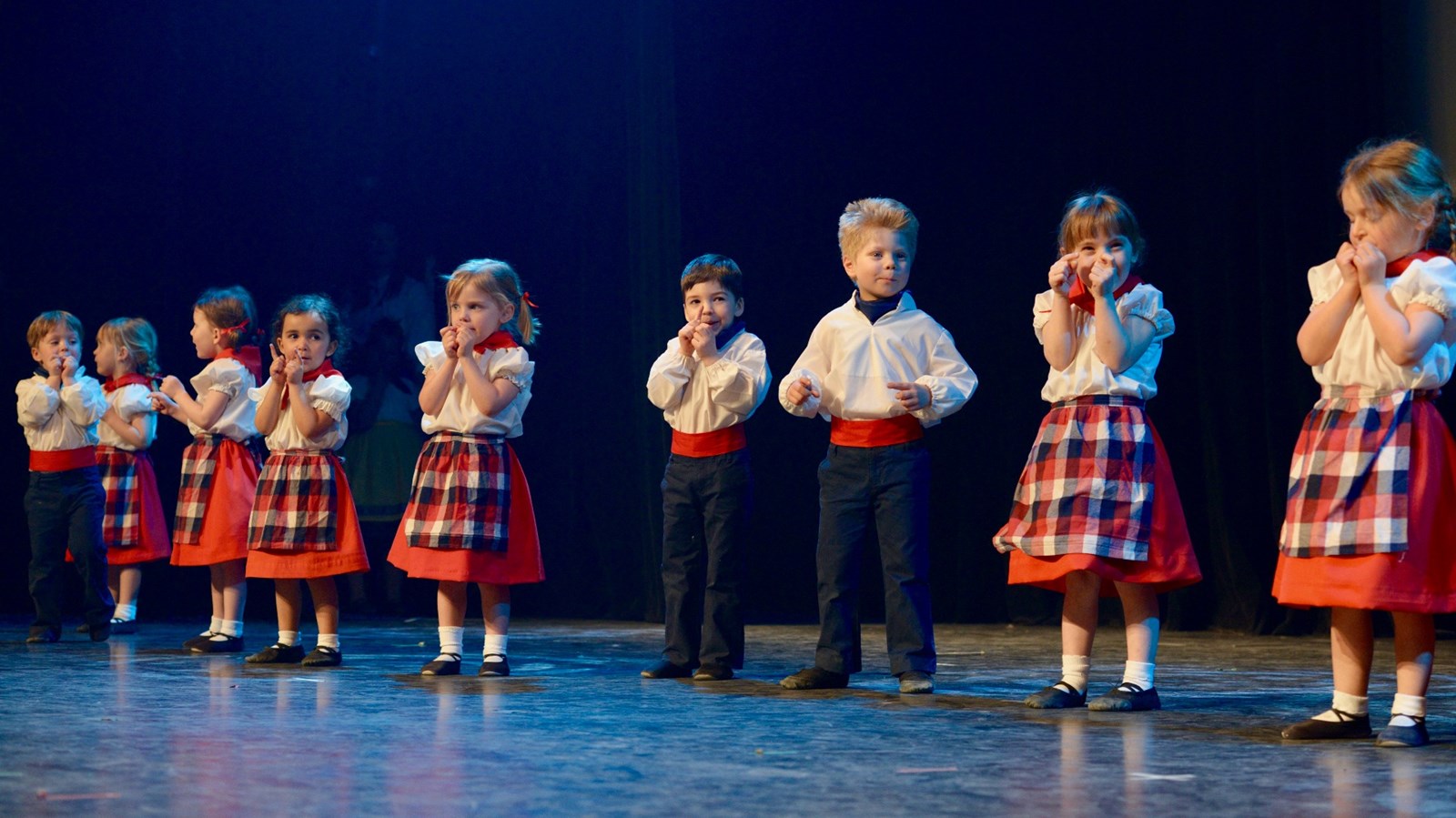Le 41e spectacle annuel de l'école de danse Manigance de Sainte-Marie avait lieu le samedi 29 avril 2017.
