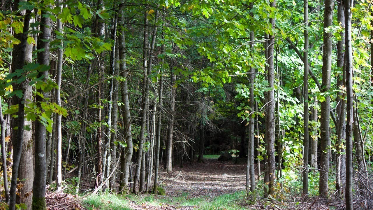 LA FPFQ lance un nouveau modèle de contrat pour la récolte de bois