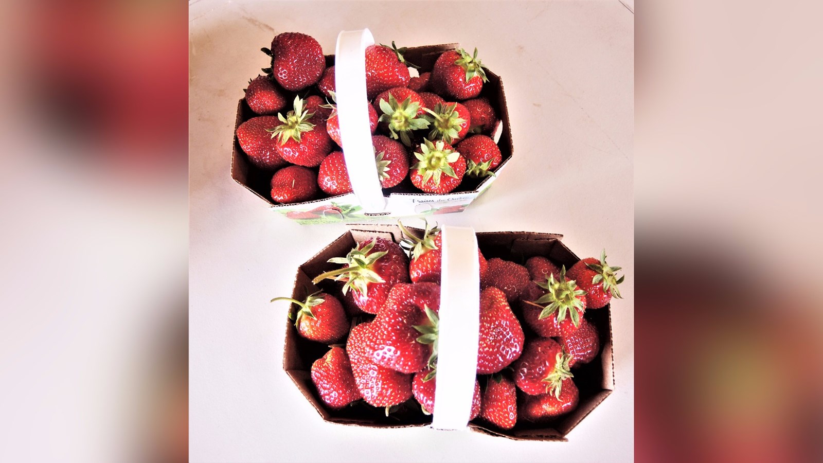 Les fraises de la Fraisière Bourque, située dans le secteur Saint-Jean-de-la-Lande à Saint-Georges.