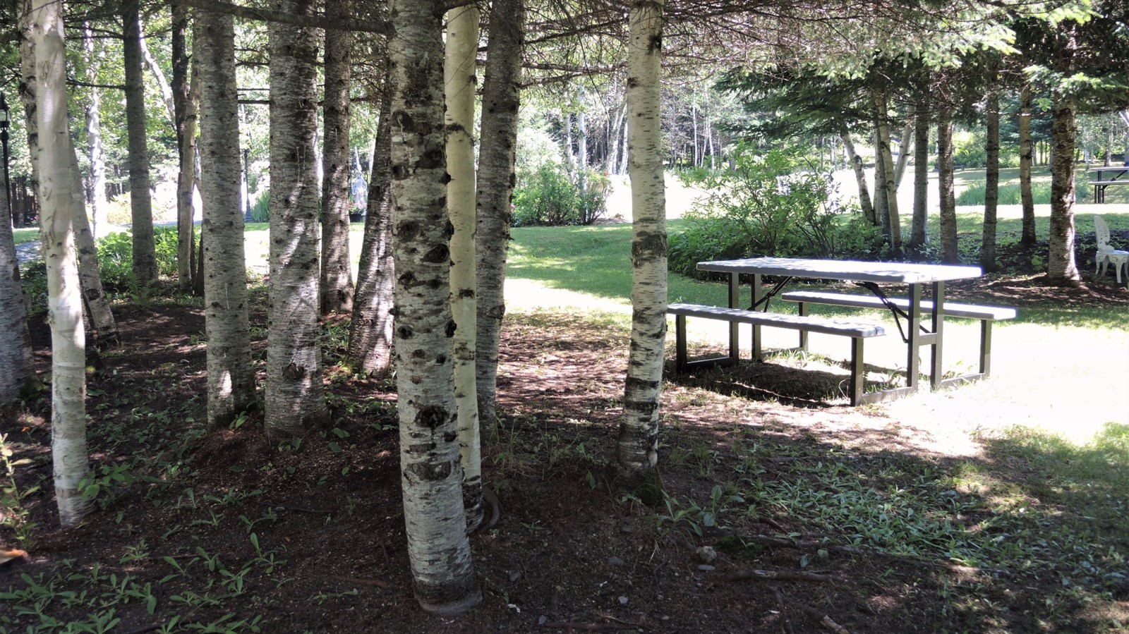 Quatre tables de pique-nique ont été installées au jardin Harbottle, situé à Saint-Simon-les-Mines, pour l'été 2017.