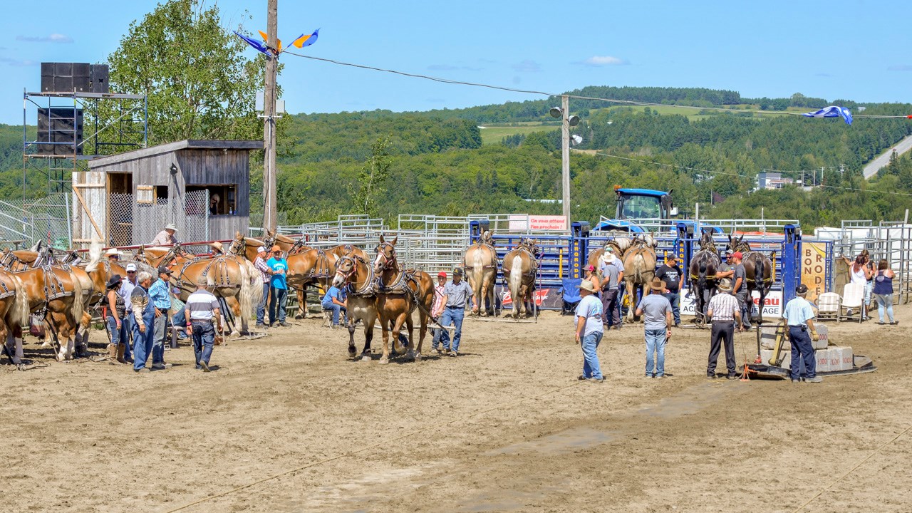 Un achalandage record aux Festivités Western de St-Victor, où Kaïn jouera ce soir