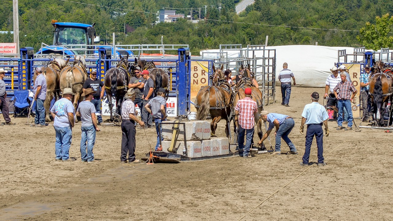 Un achalandage record aux Festivités Western de St-Victor, où Kaïn jouera ce soir