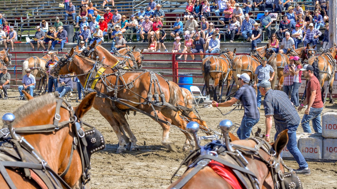 Un achalandage record aux Festivités Western de St-Victor, où Kaïn jouera ce soir