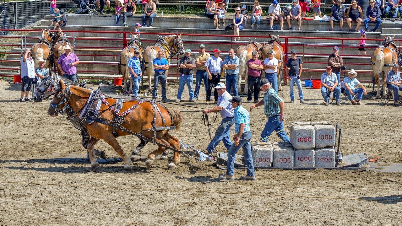 Un achalandage record aux Festivités Western de St-Victor, où Kaïn jouera ce soir