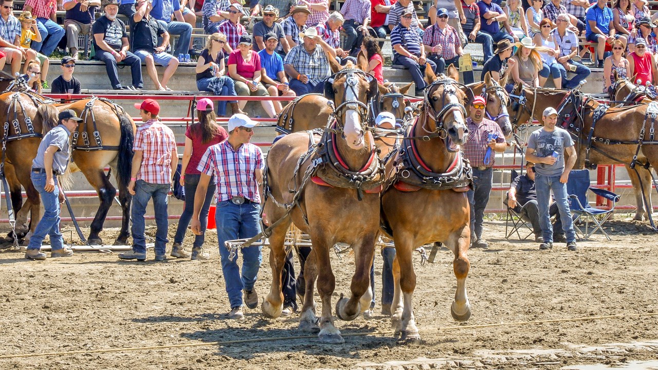 Un achalandage record aux Festivités Western de St-Victor, où Kaïn jouera ce soir
