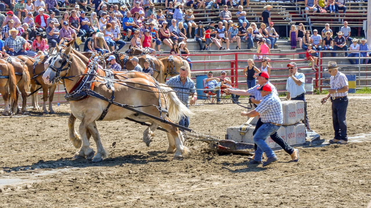 Un achalandage record aux Festivités Western de St-Victor, où Kaïn jouera ce soir