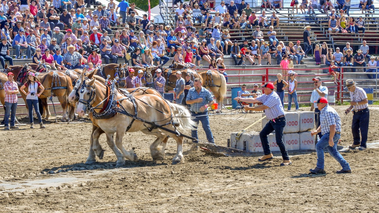 Un achalandage record aux Festivités Western de St-Victor, où Kaïn jouera ce soir