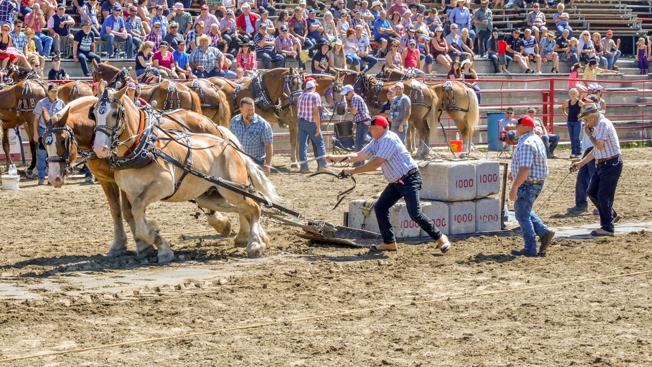 Un achalandage record aux Festivités Western de St-Victor, où Kaïn jouera ce soir