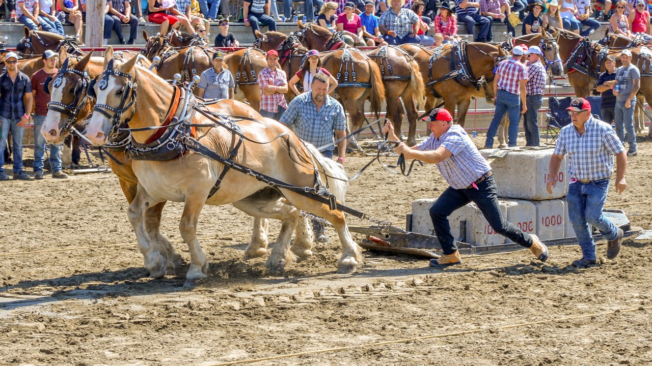 Un achalandage record aux Festivités Western de St-Victor, où Kaïn jouera ce soir