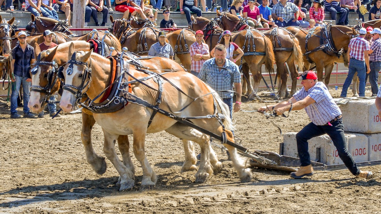Un achalandage record aux Festivités Western de St-Victor, où Kaïn jouera ce soir