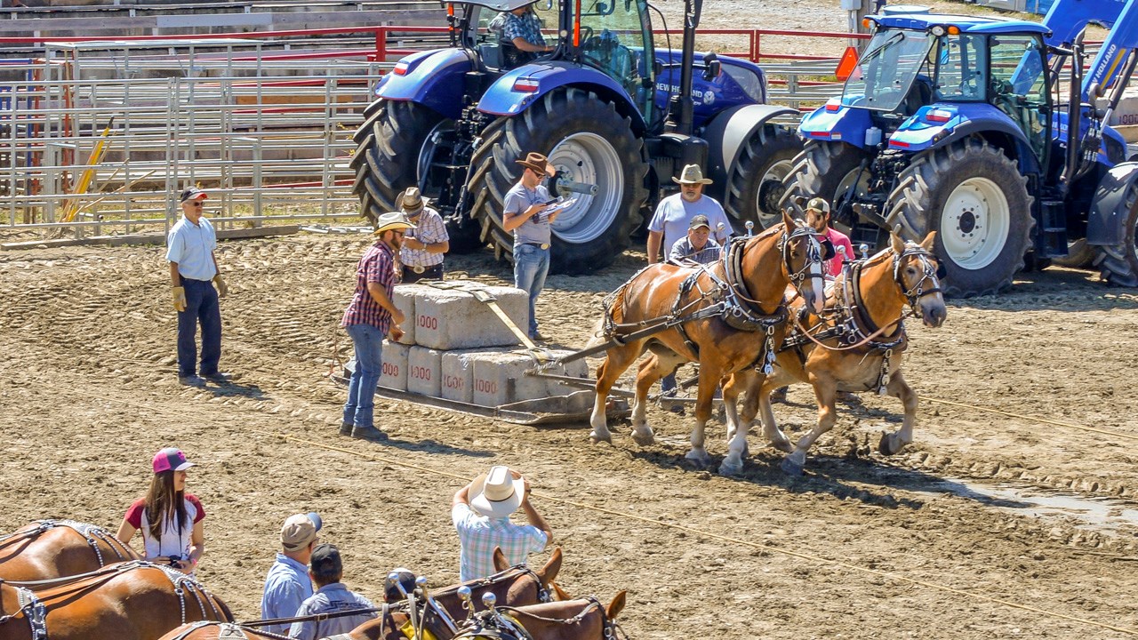 Un achalandage record aux Festivités Western de St-Victor, où Kaïn jouera ce soir
