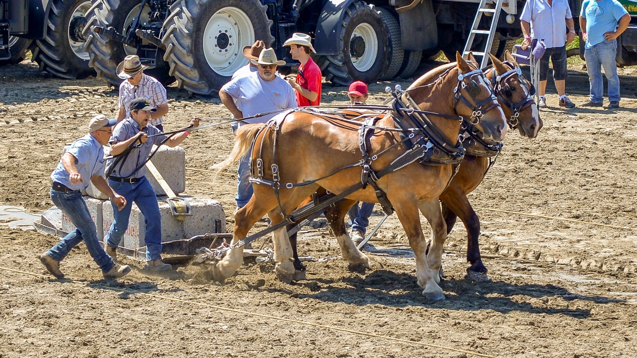 Un achalandage record aux Festivités Western de St-Victor, où Kaïn jouera ce soir