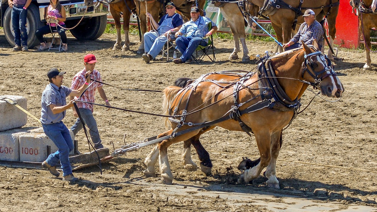 Un achalandage record aux Festivités Western de St-Victor, où Kaïn jouera ce soir