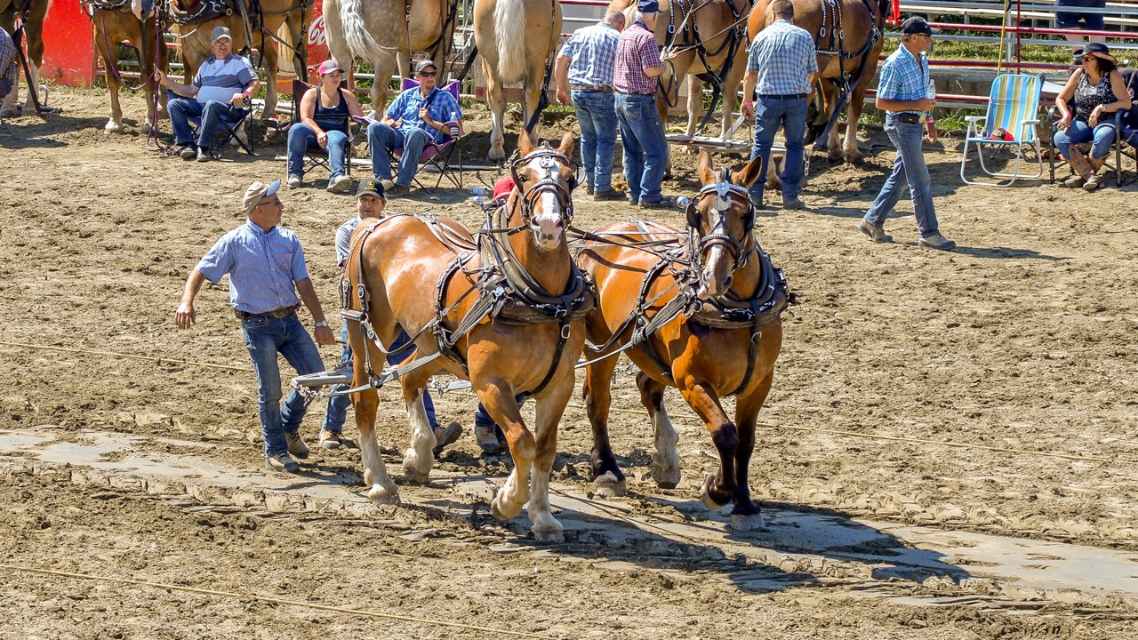 Un achalandage record aux Festivités Western de St-Victor, où Kaïn jouera ce soir