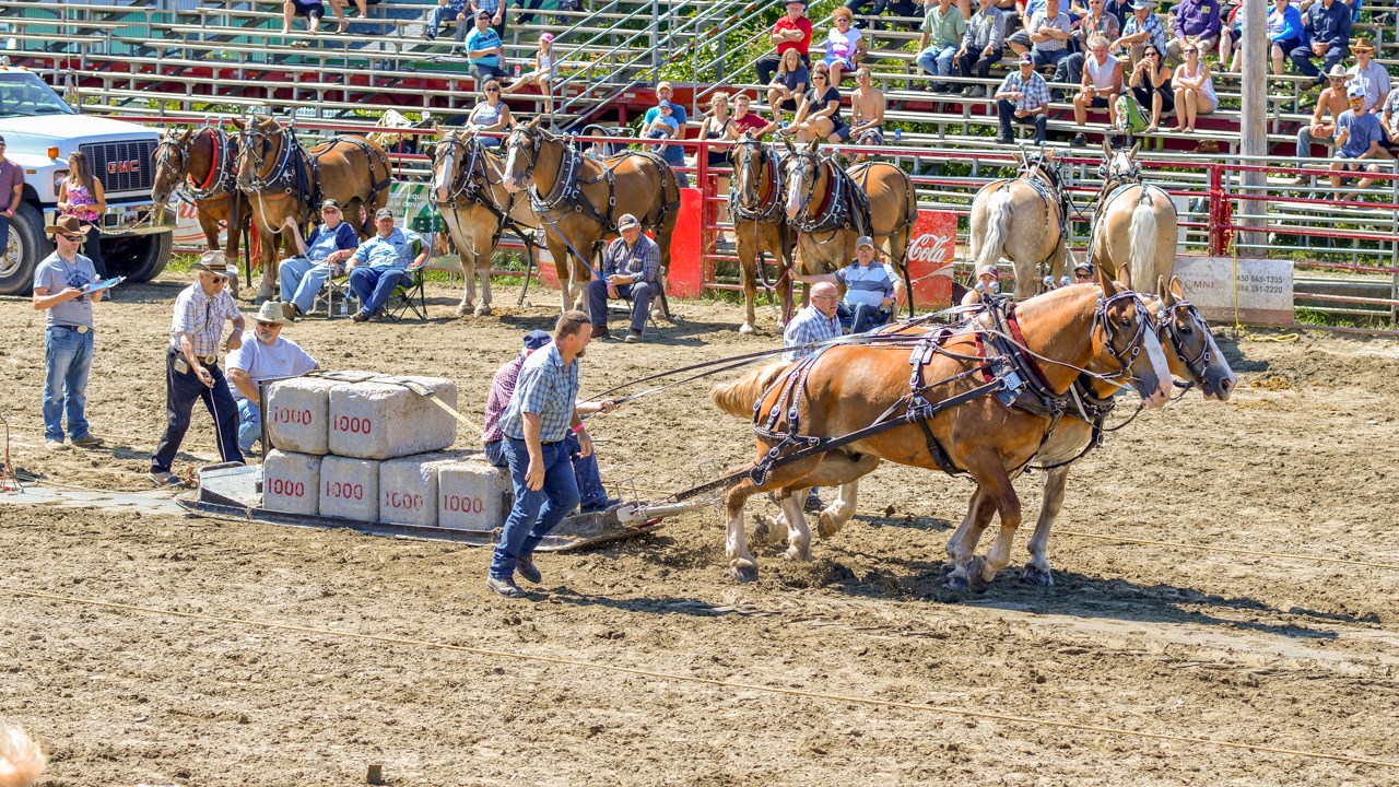 Un achalandage record aux Festivités Western de St-Victor, où Kaïn jouera ce soir