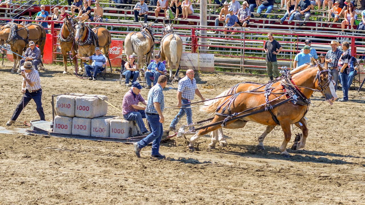 Un achalandage record aux Festivités Western de St-Victor, où Kaïn jouera ce soir