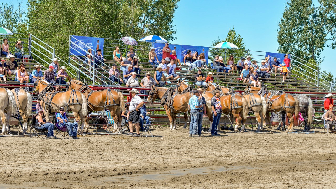 Un achalandage record aux Festivités Western de St-Victor, où Kaïn jouera ce soir
